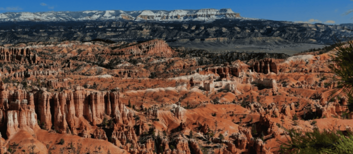 Desert Landscape